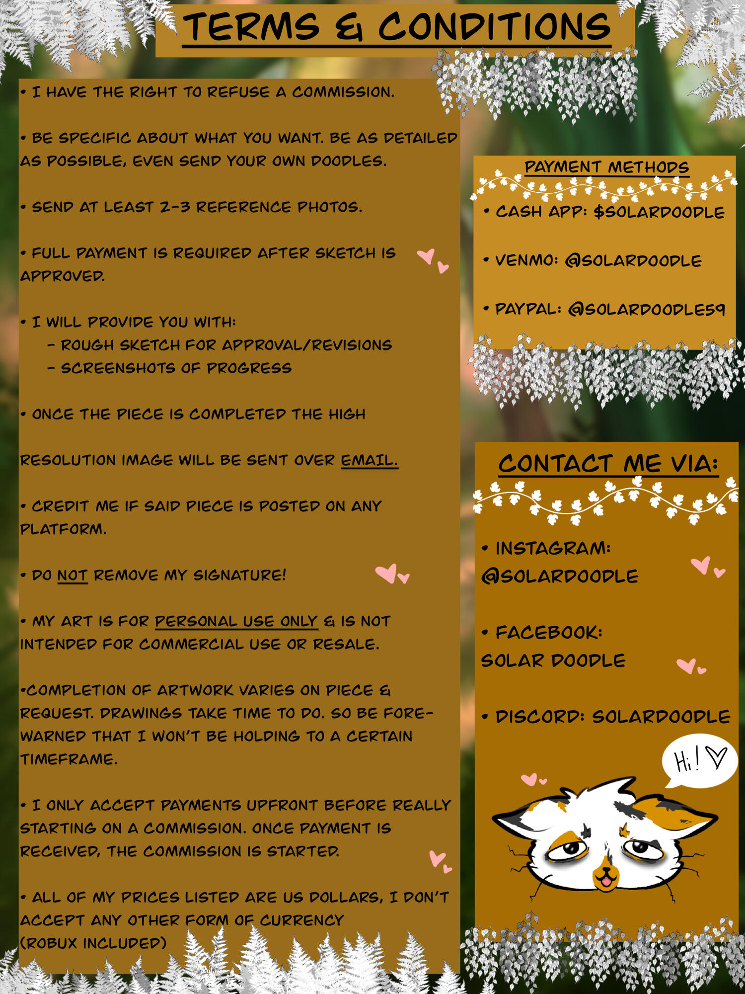 Terms & Conditions Art (c) SolarDoodle